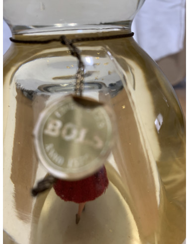 Bols Ballerina Gold Liqueur | cabinet7