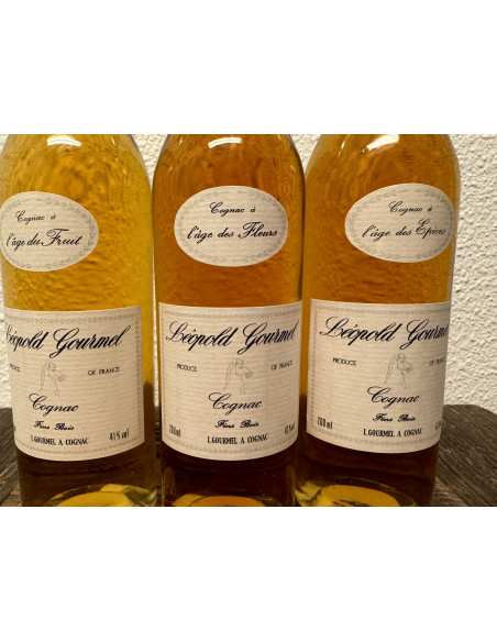 Leopold Gourmel Cognac Promenade de Cognac set 3 bottles 011