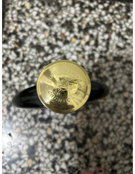 Remy Martin Cognac Extra 010