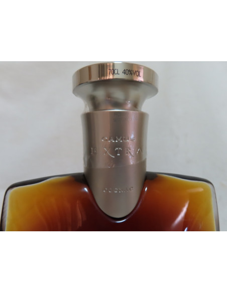 Camus Cognac Extra Elegance 010