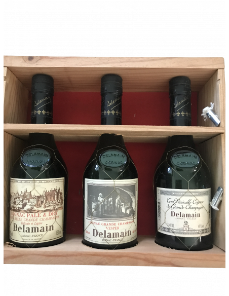 Delamain Cognac Set of 3 bottles tasting Très Vénérable, Vesper, Pale & Dry with glasses 08