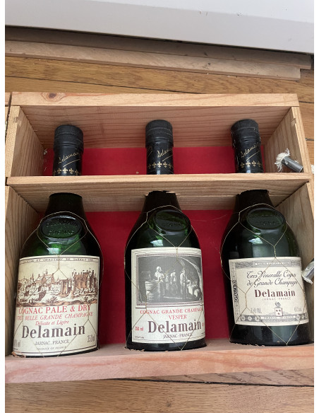 Delamain Cognac Set of 3 bottles tasting Très Vénérable, Vesper, Pale & Dry with glasses 011
