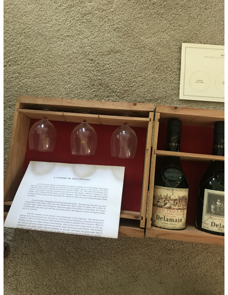 Delamain Cognac Set of 3 bottles tasting Très Vénérable, Vesper, Pale & Dry with glasses 014
