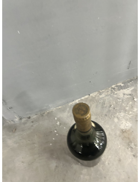 Hennessy Cognac Bras Armé 09