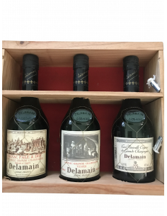 Delamain Cognac Set of 3 bottles tasting Très Vénérable, Vesper, Pale & Dry with glasses