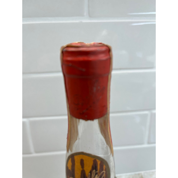 Dolfi Curacao Orange.3