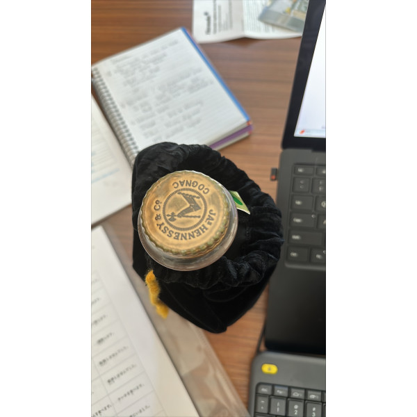 Hennessy Cognac XO Carafe Baccarat.4