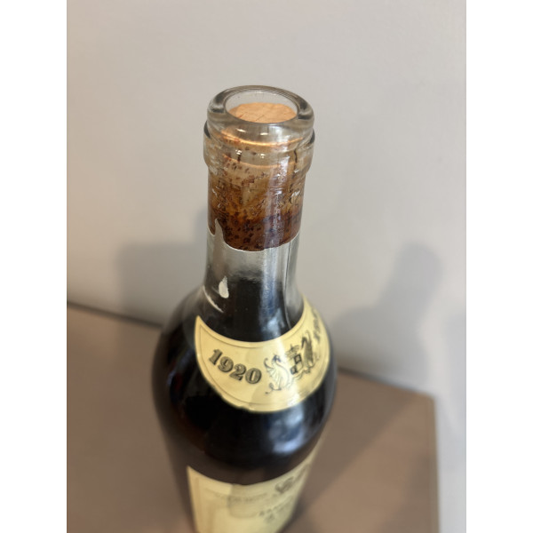 Carvalho Ribeiro Ferreira 10 Years Old 1920.3