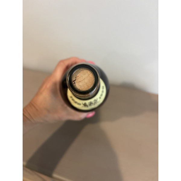 Carvalho Ribeiro Ferreira 10 Years Old 1920.4