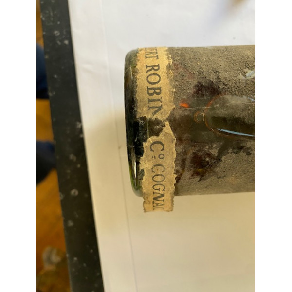 Albert Robin Vintage 1886.2