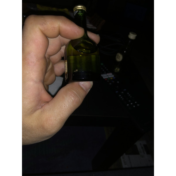 Remy Martin Cognac Brandy Mini 5cl .2