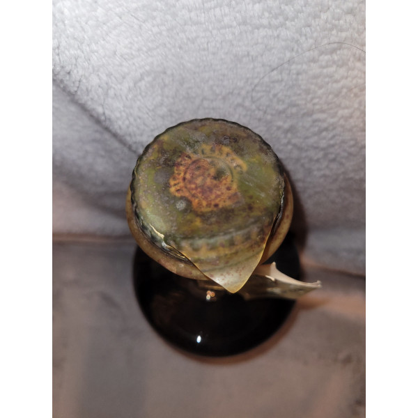 Hennessy Cognac Bras d'Or.4