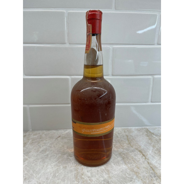 Dolfi Curacao Orange.2